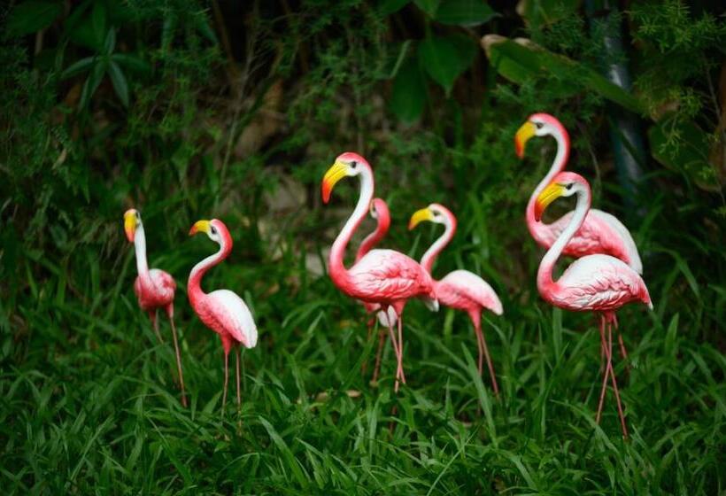 וילה עם חדר שינה אחד ובריכת שחיה, Cae Villa Hua Hin