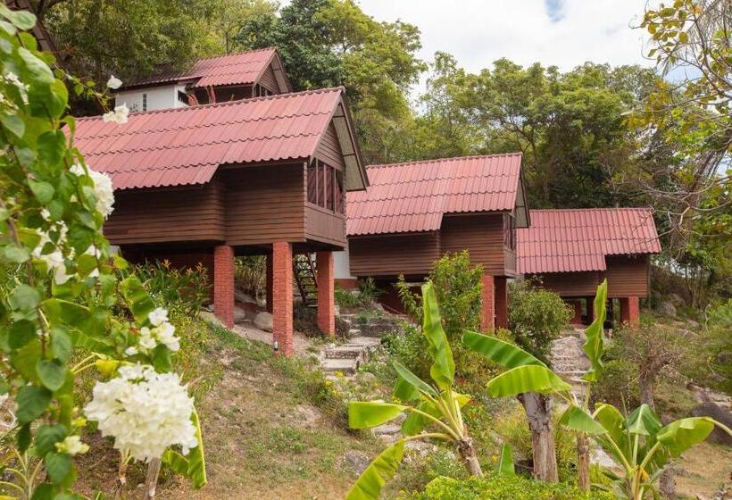 Хижина, Coral View Resort