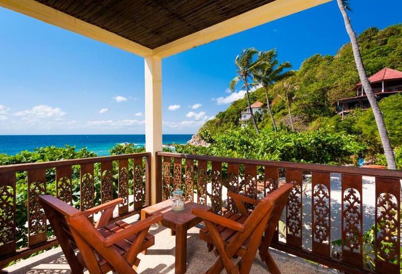 Номер Стандарт, Coral View Resort