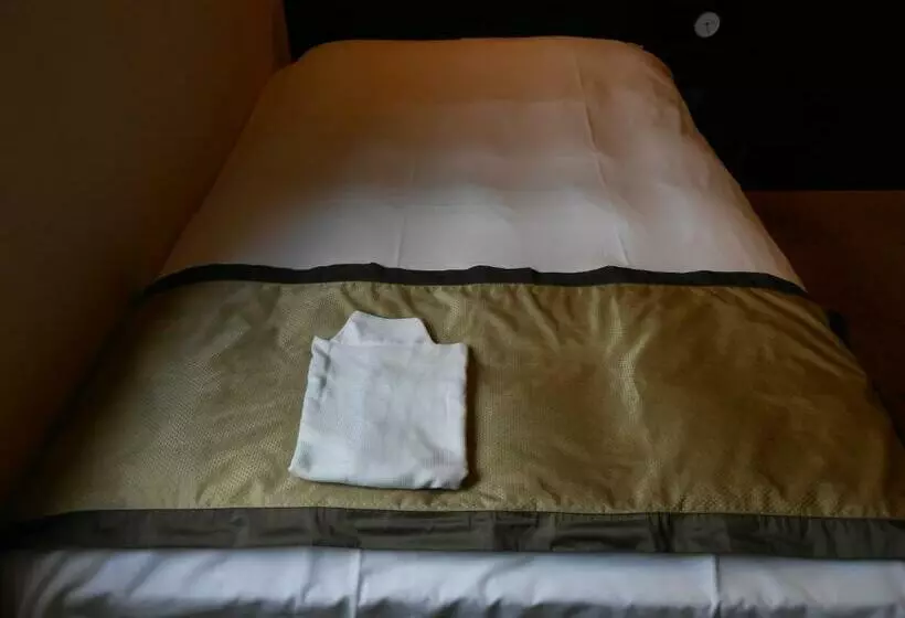 اتاق استاندارد یک نفره, My Hotel Ryugu