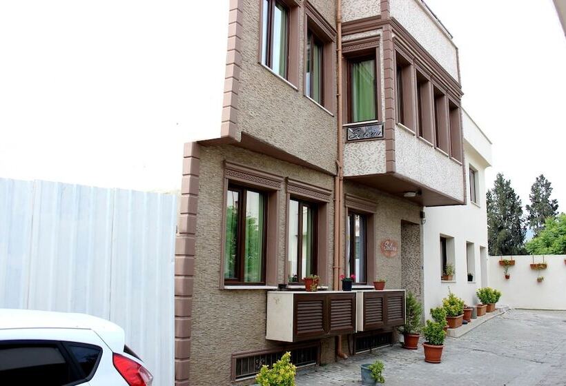 اتاق اکونومی, Selena