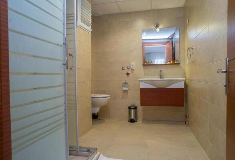 エコノミートリプルルーム, Selena