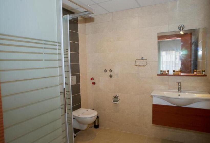 エコノミーシングルルーム, Selena