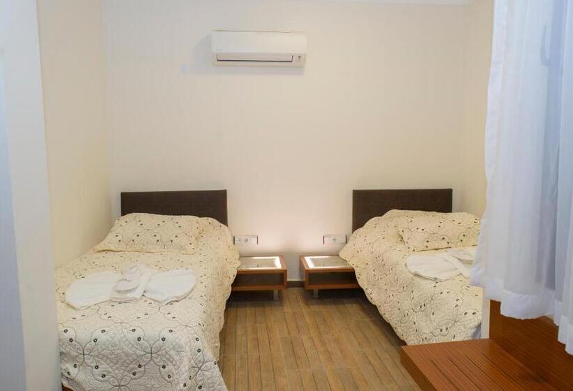 エコノミーシングルルーム, Selena