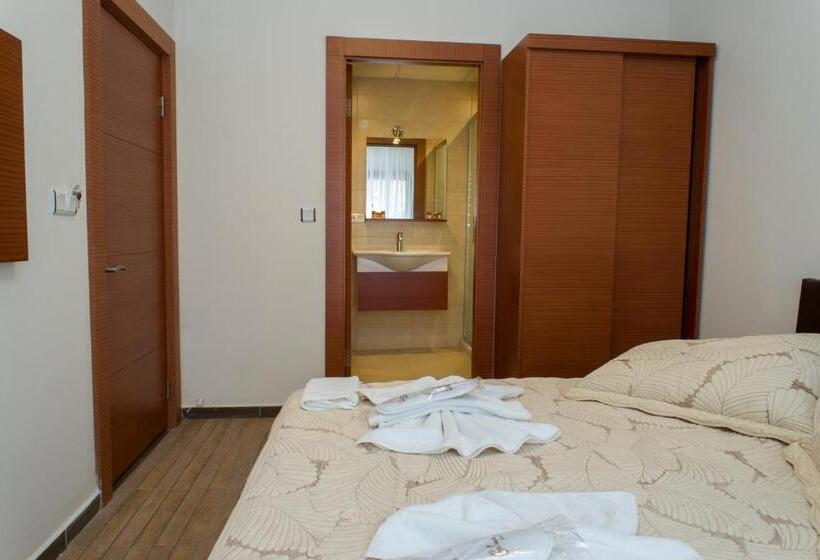 エコノミールーム, Selena