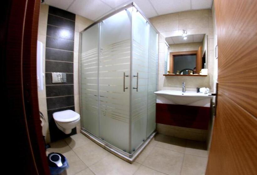 エコノミールーム, Selena