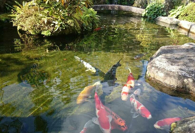 غرفة قياسية, Yumoto Onsen Oharasansou