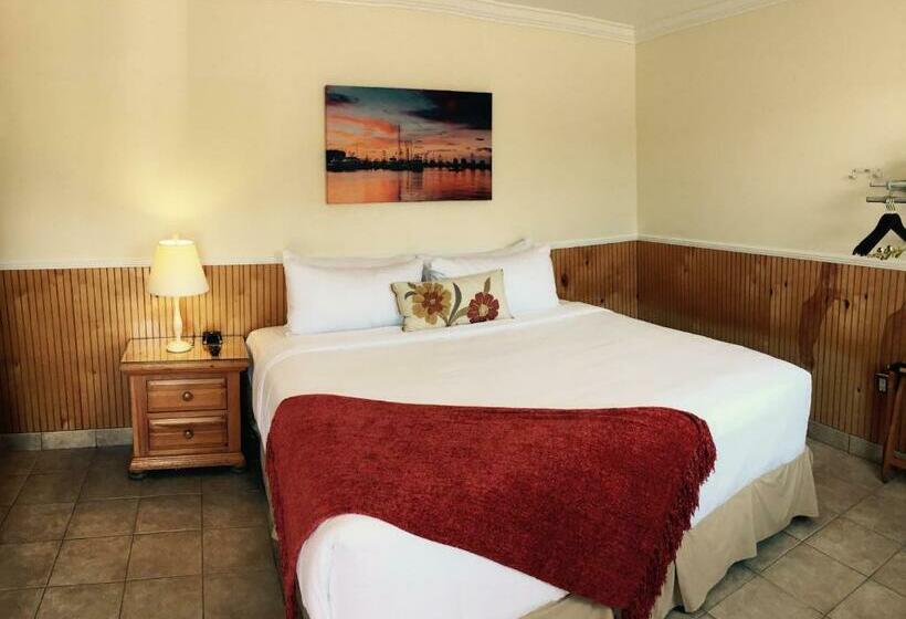 스탠다드 룸 킹사이즈 침대, Southwinds Motel