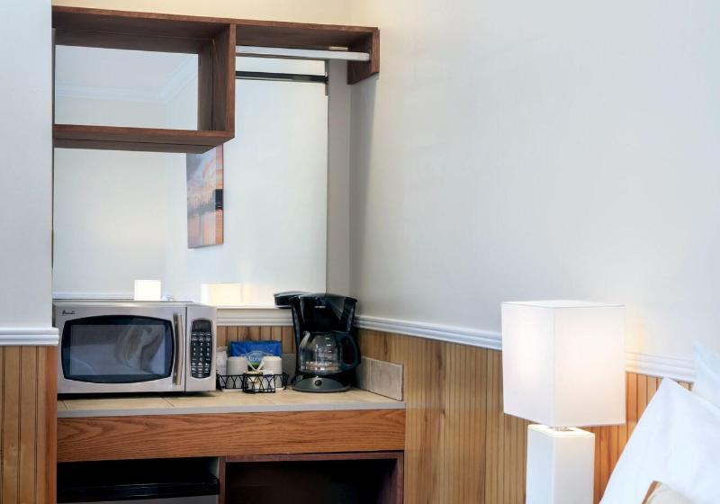 キングサイズベッドのスタンダードルーム, Southwinds Motel