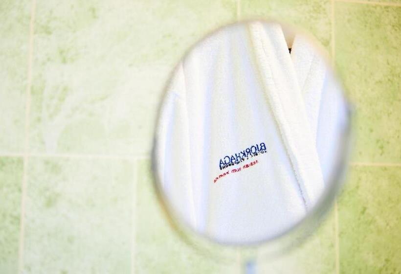 スタンダードルーム, L Bjorkhaga