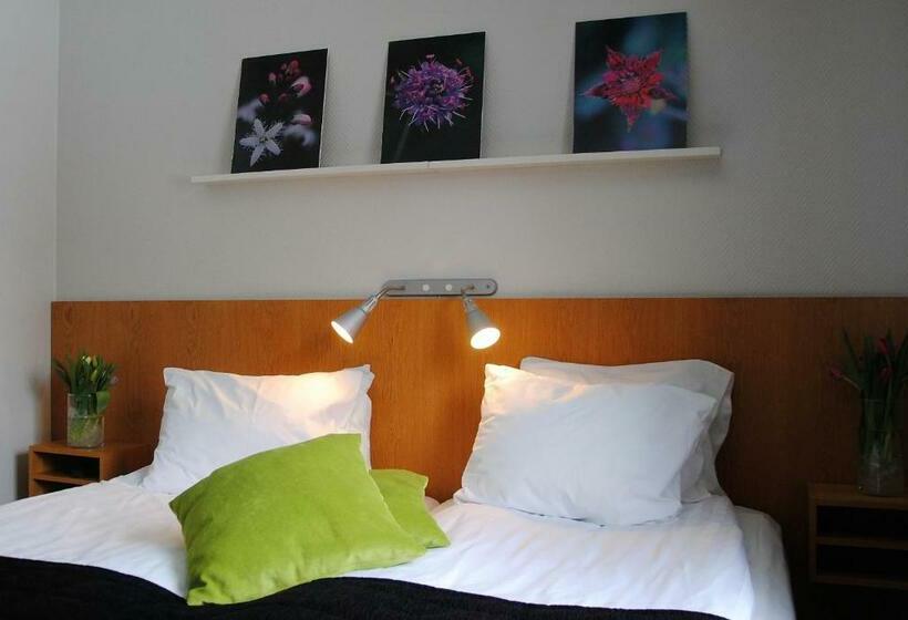 スタンダードルーム, L Bjorkhaga