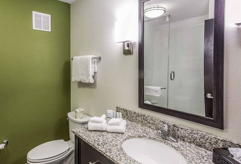 جناح لذوى الاحتياجات الخاصة, Sleep Inn & Suites Dayton