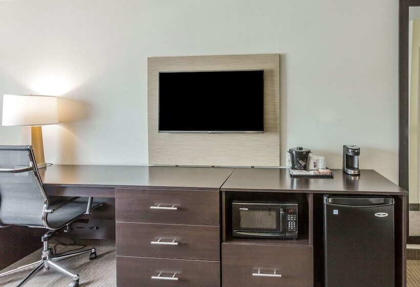 جناح لذوى الاحتياجات الخاصة, Sleep Inn & Suites Dayton