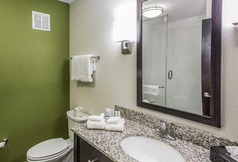 غرفة قياسية سرير كينج, Sleep Inn & Suites Dayton