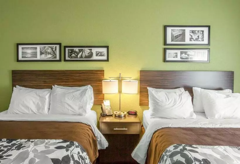 スタンダードルーム, Sleep Inn & Suites Dayton