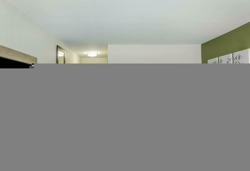 غرفة قياسية سرير كينج, Sleep Inn & Suites Dayton