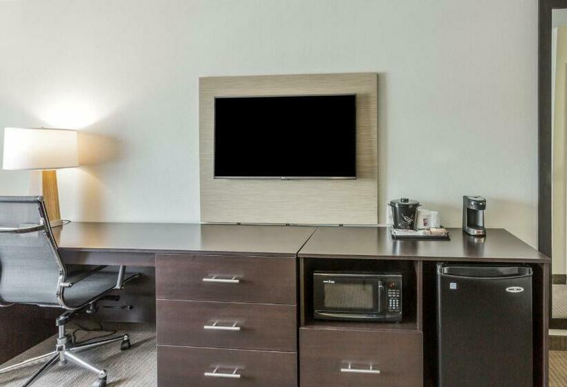 Quarto Estandar Cama King, Sleep Inn & Suites Dayton