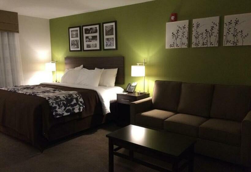 جناح سرير كينج, Sleep Inn & Suites Dayton