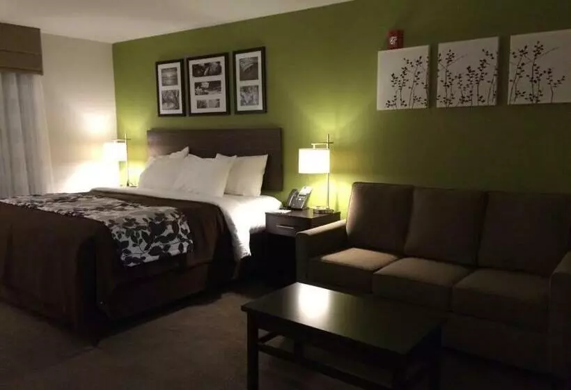 キングサイズベッドのスイートルーム, Sleep Inn & Suites Dayton