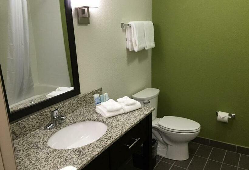 Quarto Estandar, Sleep Inn & Suites Dayton