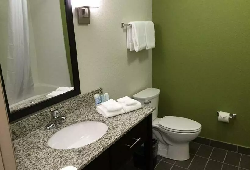 スタンダードルーム, Sleep Inn & Suites Dayton