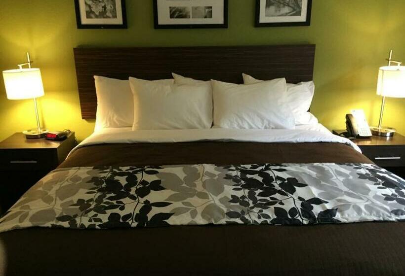 带大床的标准间, Sleep Inn & Suites Dayton