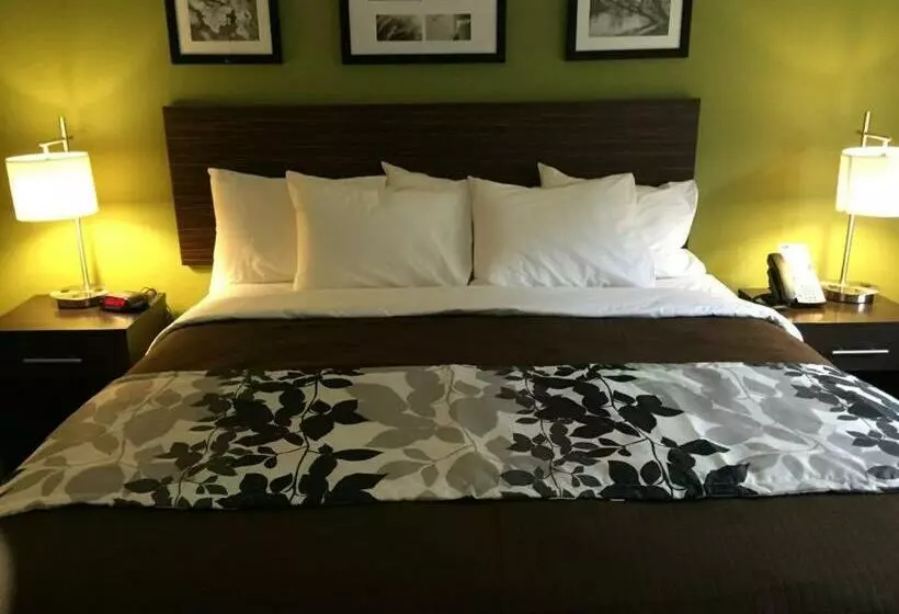 キングサイズベッドのスタンダードルーム, Sleep Inn & Suites Dayton