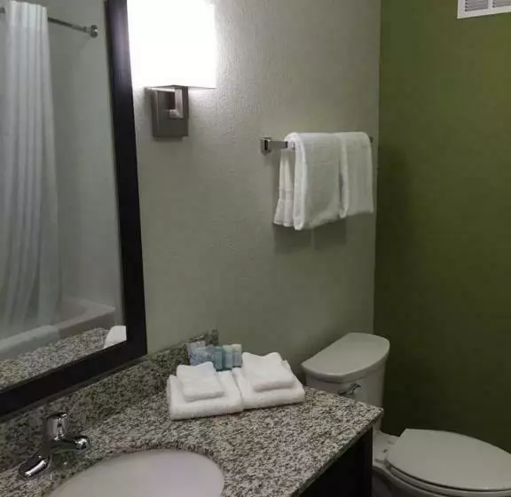 キングサイズベッドのスタンダードルーム, Sleep Inn & Suites Dayton