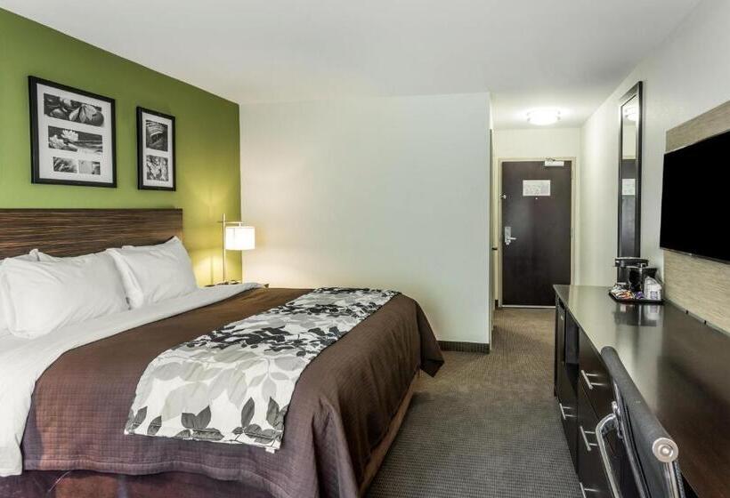 Quarto Estandar Cama King para Deficientes Físicos, Sleep Inn & Suites Dayton