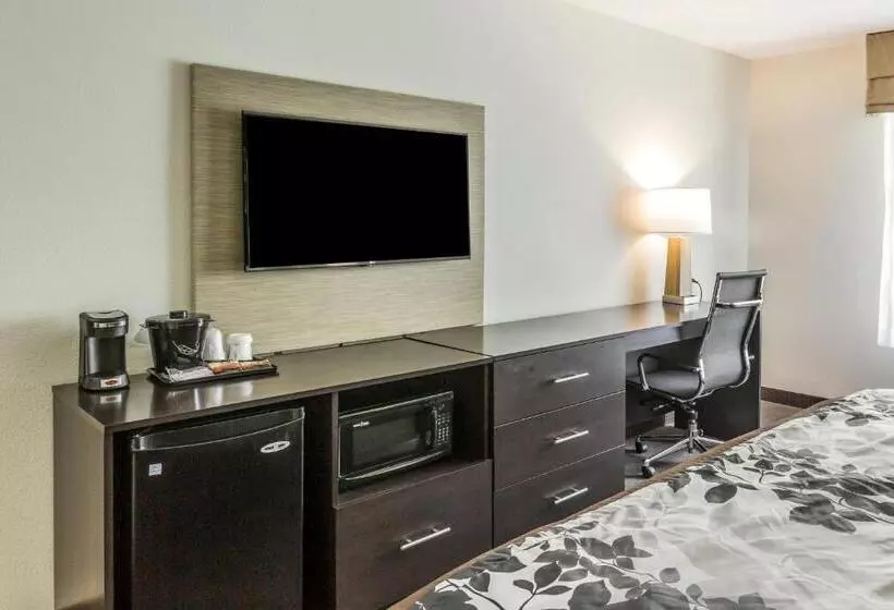 身障者適用キングサイズベッドルーム, Sleep Inn & Suites Dayton