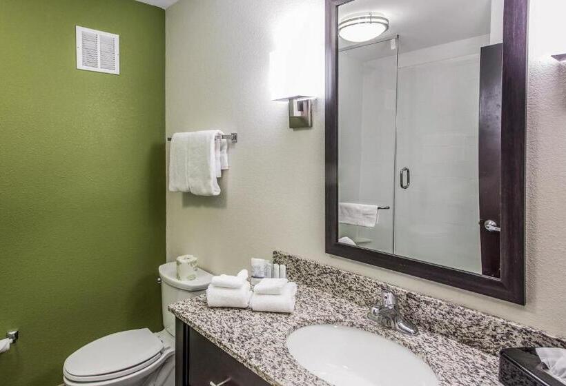 غرفة قياسية سرير كينج لذوى الإحتياجات الخاصة, Sleep Inn & Suites Dayton