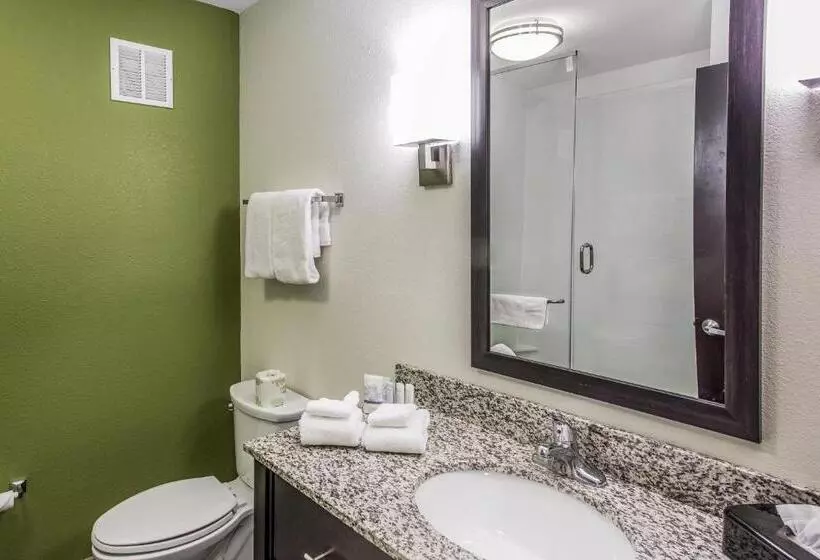 身障者適用キングサイズベッドルーム, Sleep Inn & Suites Dayton