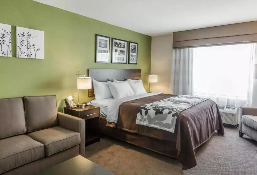 身障者適用スイートルーム, Sleep Inn & Suites Dayton