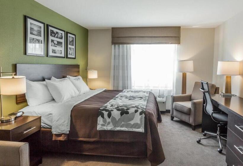 جناح لذوى الاحتياجات الخاصة, Sleep Inn & Suites Dayton