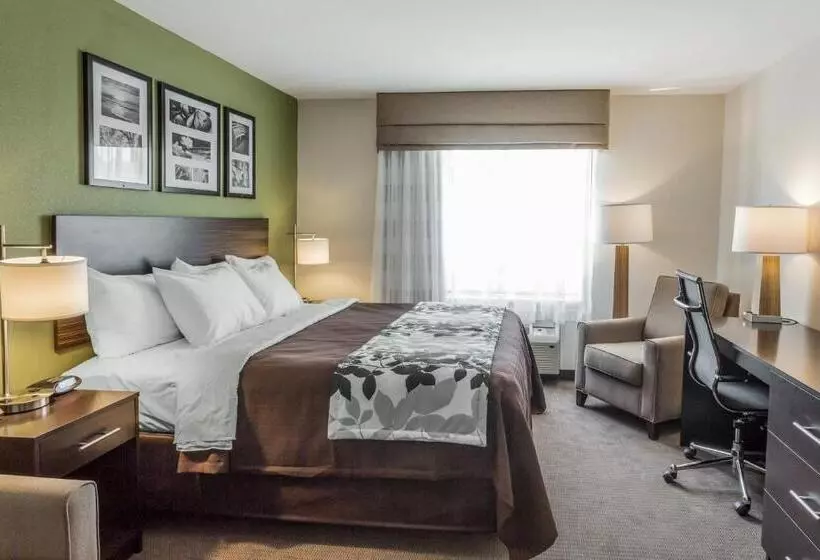 身障者適用スイートルーム, Sleep Inn & Suites Dayton