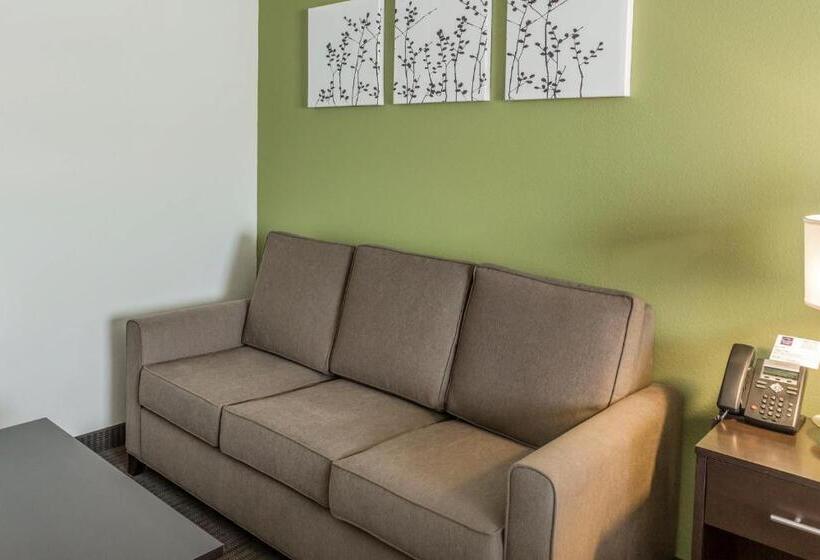 Suíte para Deficientes Físicos, Sleep Inn & Suites Dayton