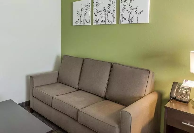 身障者適用スイートルーム, Sleep Inn & Suites Dayton