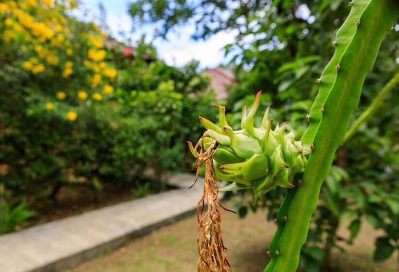 ガーデンビューデラックスルーム, Bang Po Garden
