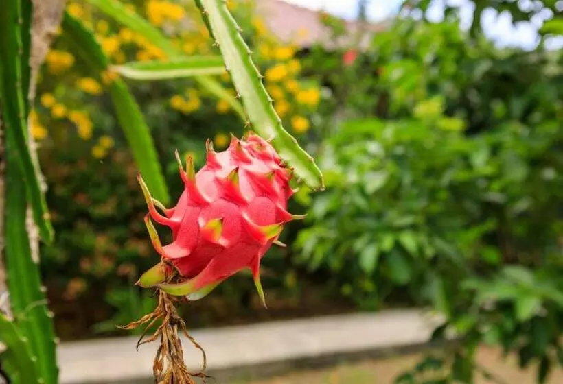 اتاق لوکس با چشم‌انداز باغ, Bang Po Garden
