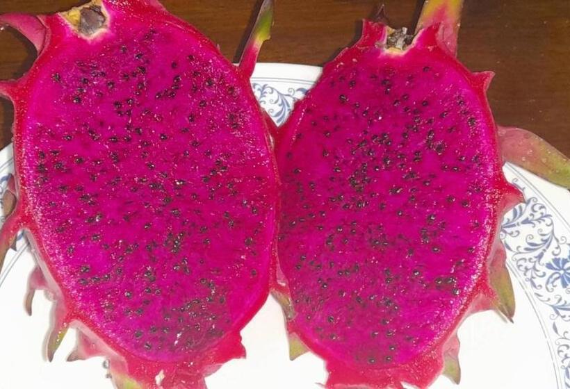 ガーデンビューデラックスルーム, Bang Po Garden