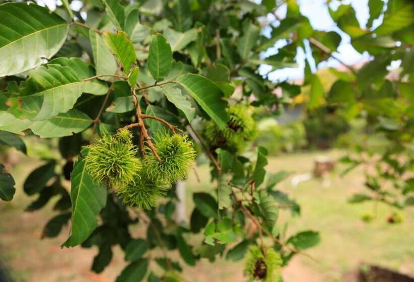 ガーデンビューデラックスルーム, Bang Po Garden