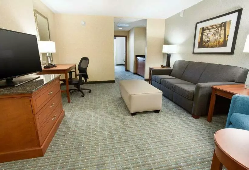 スイート, Drury Inn & Suites Grand Rapids