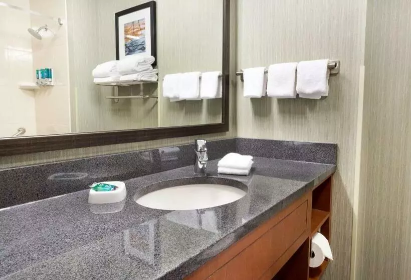 キングサイズベッドのスタンダードルーム, Drury Inn & Suites Grand Rapids