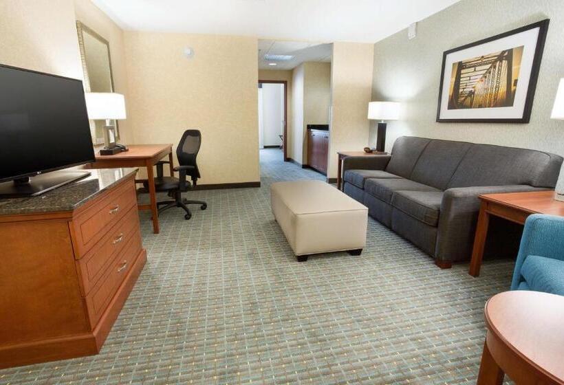 Люкс Адаптированный для Инвалидов, Drury Inn & Suites Grand Rapids