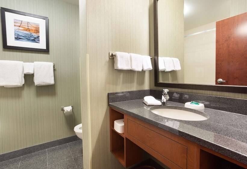 Люкс, Drury Inn & Suites Grand Rapids