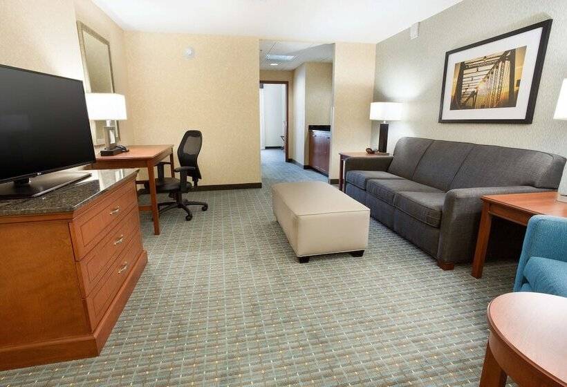 Люкс Адаптированный для Инвалидов, Drury Inn & Suites Grand Rapids