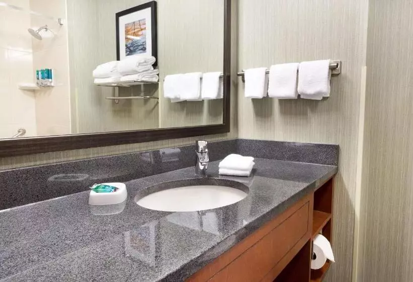 身障者適用スーペリアールーム, Drury Inn & Suites Grand Rapids