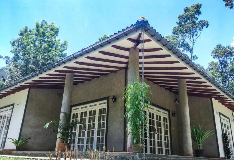 Бунгало Стандарт 3 Спальни, The Mount Royal