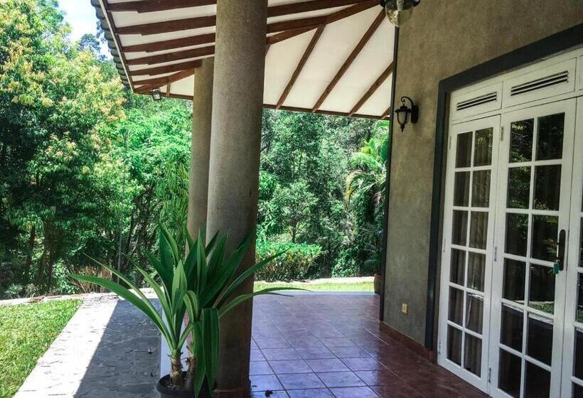 Бунгало Стандарт 3 Спальни, The Mount Royal