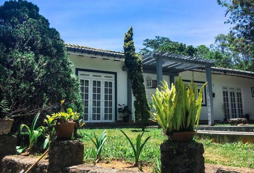 Бунгало Стандарт 3 Спальни, The Mount Royal